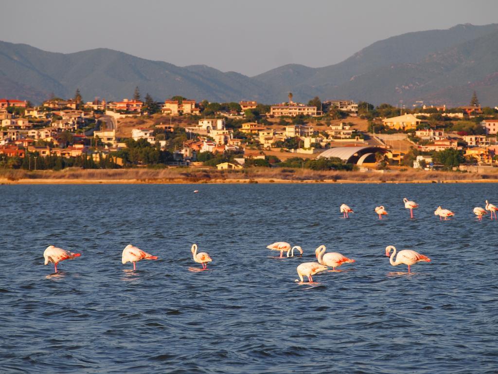 Superpanoramico Bed & Breakfast Cagliari Ngoại thất bức ảnh